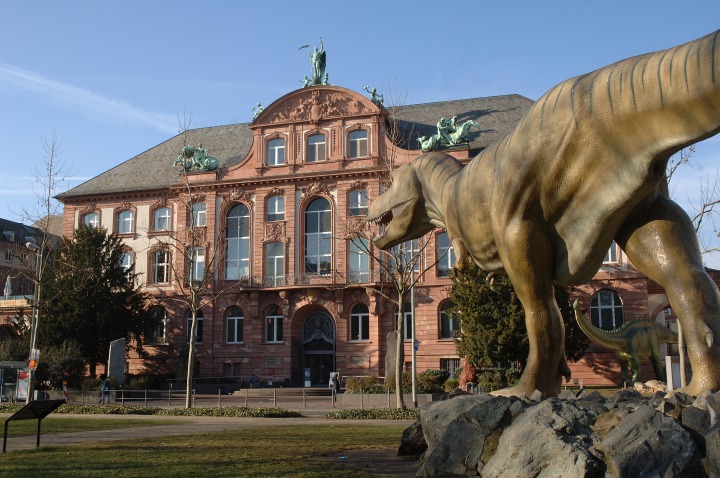 Foto: Senckenberg-Naturmuseum