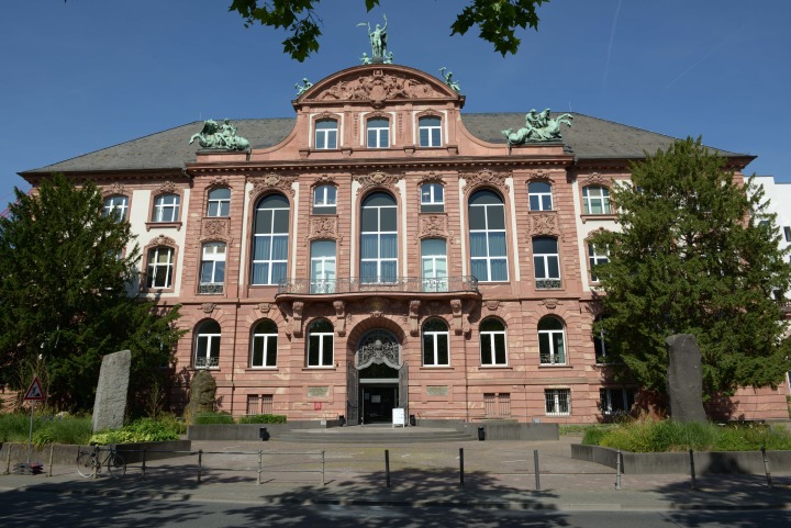 Foto: Senckenberg